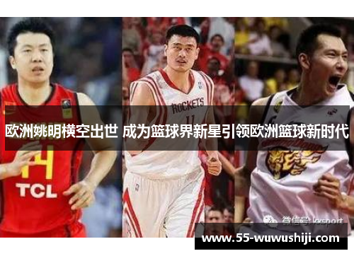 欧洲姚明横空出世 成为篮球界新星引领欧洲篮球新时代