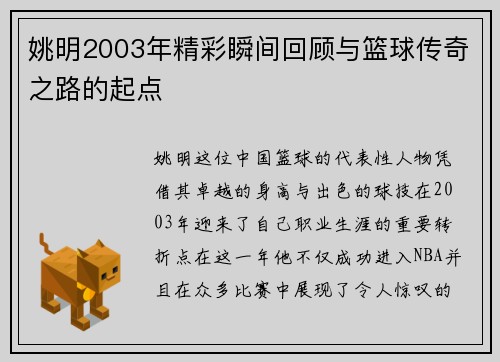 姚明2003年精彩瞬间回顾与篮球传奇之路的起点
