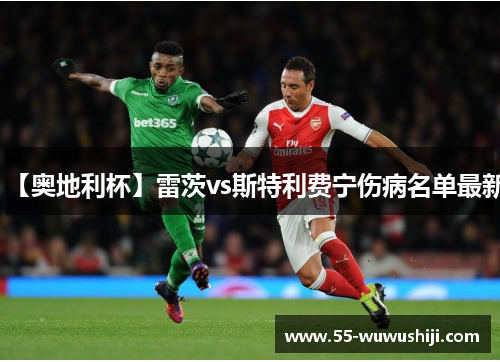 【奥地利杯】雷茨vs斯特利费宁伤病名单最新